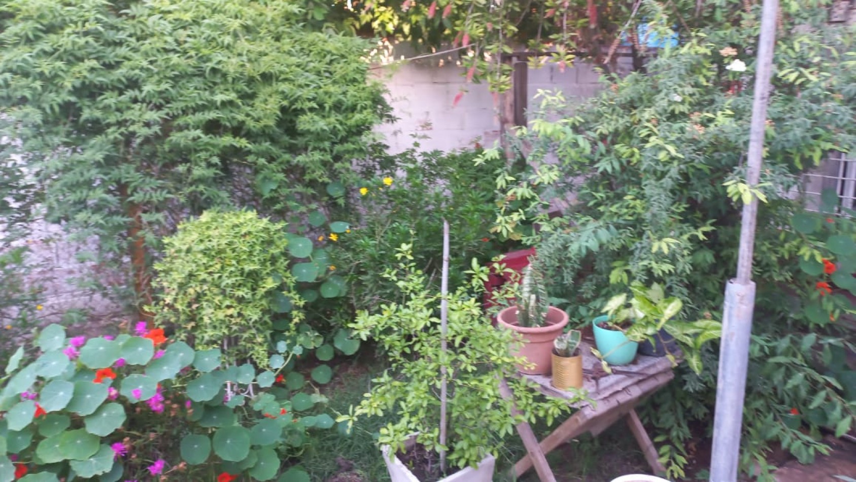 VENDO DOS HERMOSAS CASA DE MATERIAL CON LOCAL COMERCIAL Y PILETA DE NATACION EN BARRIO CIUDAD SATELITE, PARTIDO DE MORENO, CALLE: CURABROCHERO 6525