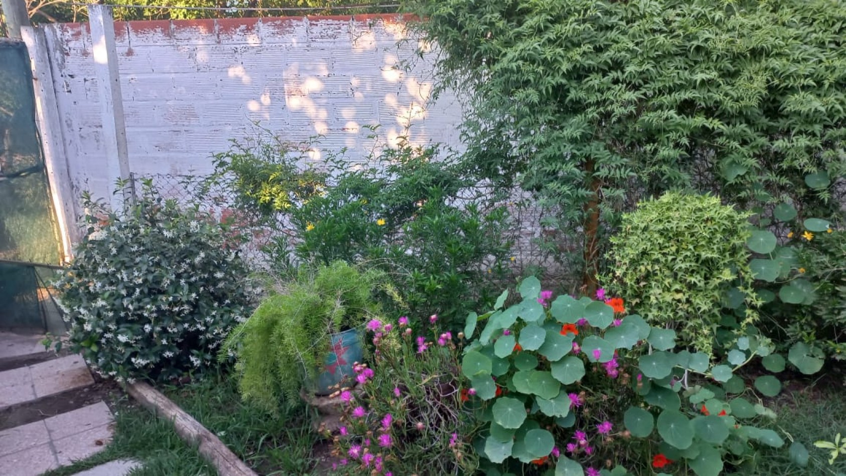 VENDO DOS HERMOSAS CASA DE MATERIAL CON LOCAL COMERCIAL Y PILETA DE NATACION EN BARRIO CIUDAD SATELITE, PARTIDO DE MORENO, CALLE: CURABROCHERO 6525