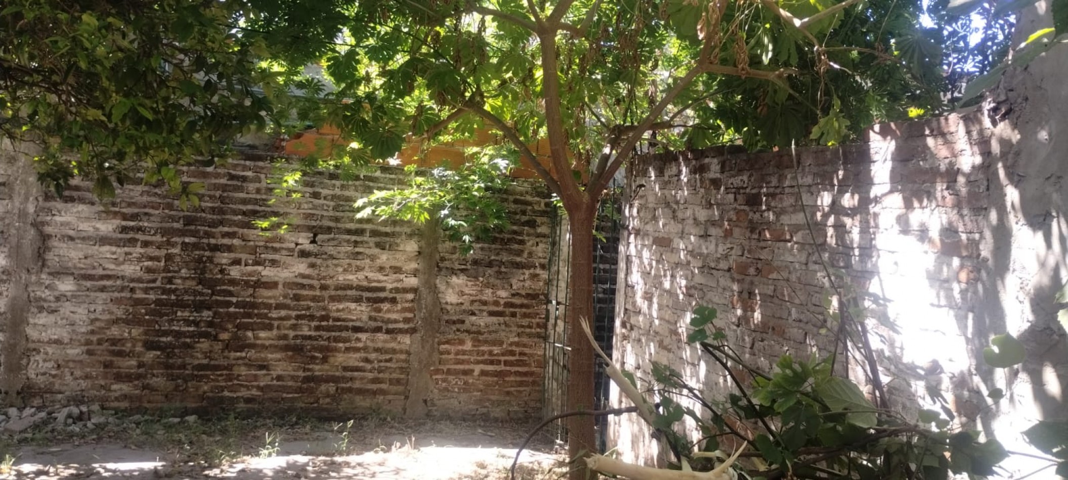 ALQUILO REGIO DEPARTAMENTO DE 2 AMBIENTE EN EL BARRIO SAN JOSE, CALLE MARTIN FIERRO 5156. 