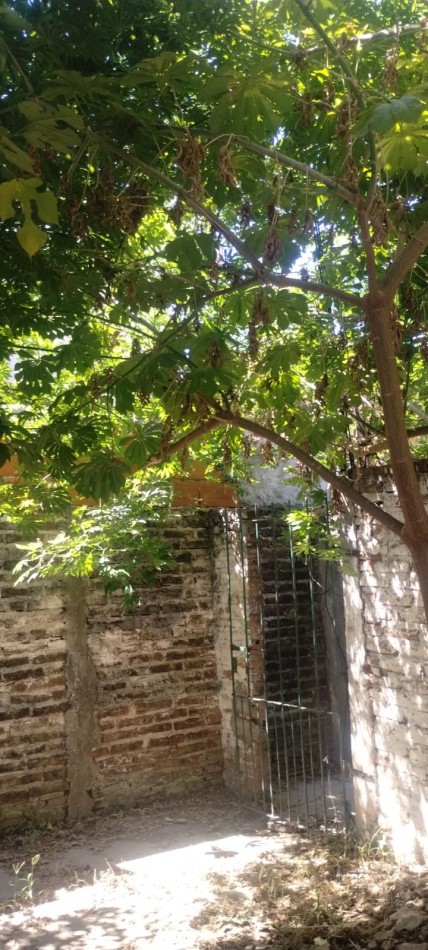 ALQUILO REGIO DEPARTAMENTO DE 2 AMBIENTE EN EL BARRIO SAN JOSE, CALLE MARTIN FIERRO 5156. 