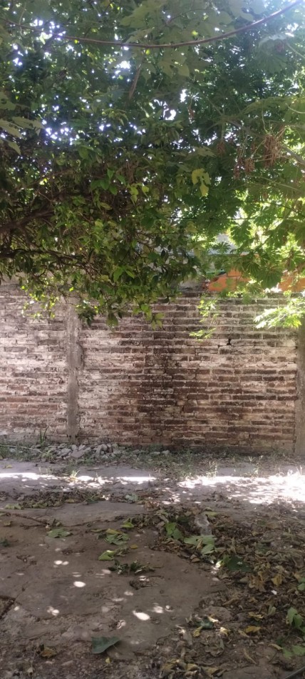 ALQUILO REGIO DEPARTAMENTO DE 2 AMBIENTE EN EL BARRIO SAN JOSE, CALLE MARTIN FIERRO 5156. 