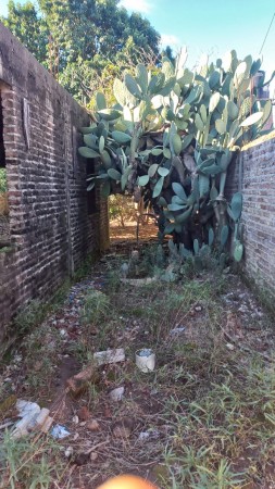 MORENO SUR  BARRIO SAN JORGE VENDO REGIA CASA A TERMINAR, TECHO LOSA CERAMICA, REJAS AL FRENTE Y MURO PERIMETRAL.