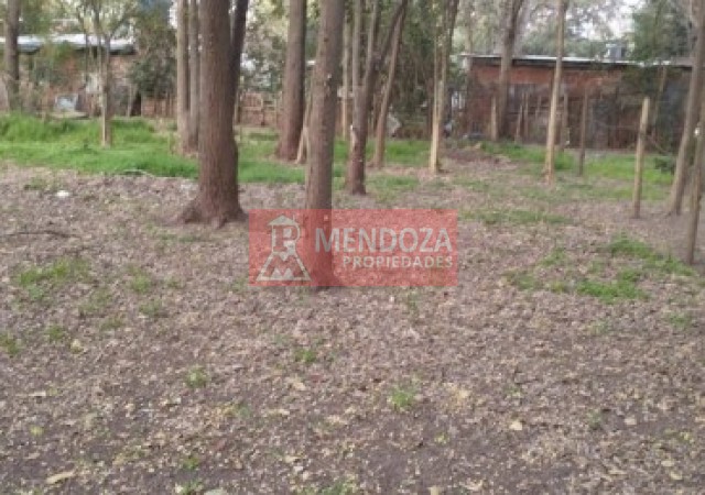 AUT (318)  EN VENTA TERRENO CON MEJORAS, FINANCIACION ANTICIPO U$D 8.000.-